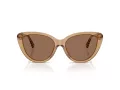 Burberry Slnečné okuliare BE 4457 416473