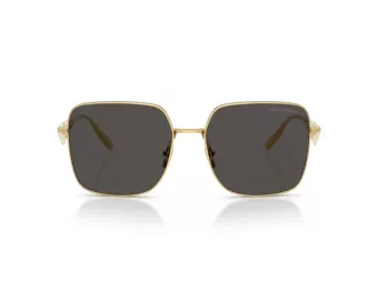 Dolce & Gabbana Slnečné okuliare DG 2310 02/87