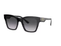 Dolce & Gabbana Slnečné okuliare DG 4384 501/8G