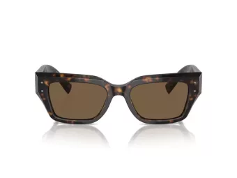 Dolce & Gabbana Slnečné okuliare DG 4462 502/73