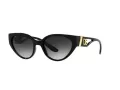 Dolce & Gabbana Slnečné okuliare DG 6146 501/8G