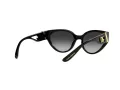 Dolce & Gabbana Slnečné okuliare DG 6146 501/8G