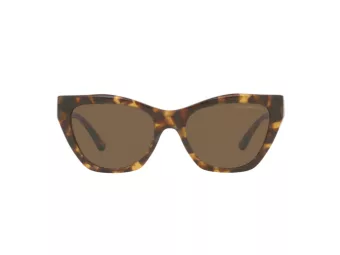 Emporio Armani Slnečné okuliare EA 4176 502573