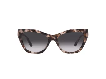 Emporio Armani Slnečné okuliare EA 4176 54108G
