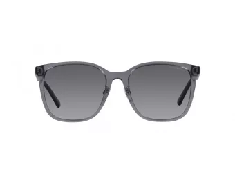 Emporio Armani Slnečné okuliare EA 4206D 5029T3