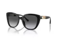 Emporio Armani Slnečné okuliare EA 4214U 50178G