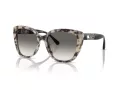Emporio Armani Slnečné okuliare EA 4214U 605811