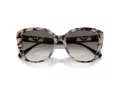 Emporio Armani Slnečné okuliare EA 4214U 605811