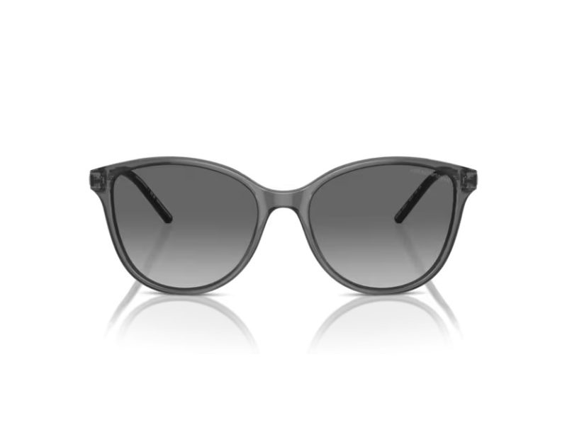 Emporio Armani Slnečné okuliare EA 4220 610611