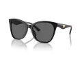 Emporio Armani Slnečné okuliare EA 4222U 501787