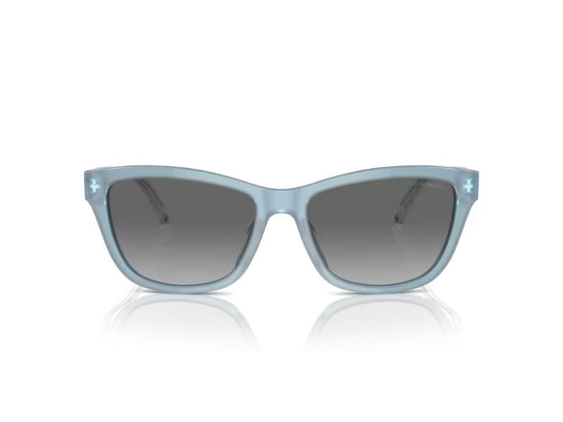 Emporio Armani Slnečné okuliare EA 4227U 609611