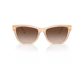 Emporio Armani Slnečné okuliare EA 4227U 609813