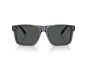 Emporio Armani Slnečné okuliare EA 4232 610687