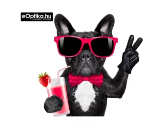 Čistiaca handrička