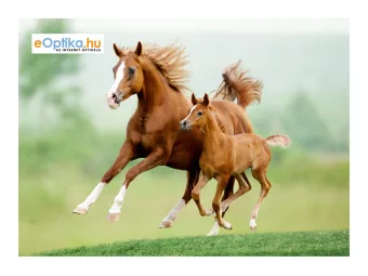 Čistiaca handrička