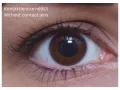 ColourVUE Detské oči - Cool Modrá (2 šošovky)