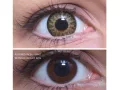 ColourVUE Glamour Zelená (2 šošovky)