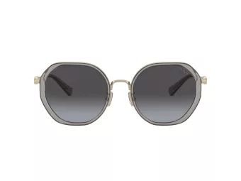 Coach Cd477 Slnečné okuliare HC 7141 90058G