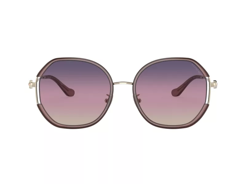 Coach Cd452 Slnečné okuliare HC 7144BD 9413U6