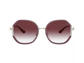 Coach Cd452 Slnečné okuliare HC 7144BD 94158H