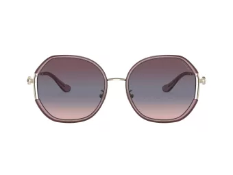 Coach Cd452 Slnečné okuliare HC 7144BD 94160J