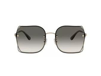 Coach Ch574 Slnečné okuliare HC 7150D 900511