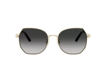 Coach Cad79 Slnečné okuliare HC 7175 90053C