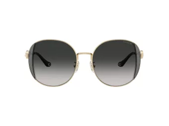 Coach Cad73 Slnečné okuliare HC 7176B 90053C