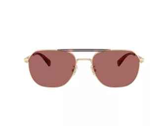 Coach Cae80 Slnečné okuliare HC 7178 90050H