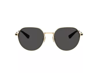 Coach Cae81 Slnečné okuliare HC 7179 900587