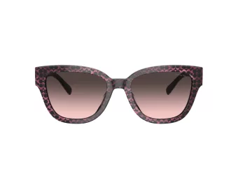 Coach Cl920 Slnečné okuliare HC 8379U 578346