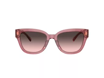 Coach Cl920 Slnečné okuliare HC 8379U 580046