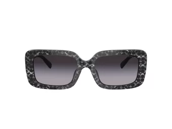 Coach Cl922 Slnečné okuliare HC 8380U 55208G