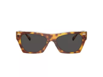 Coach Cl917 Slnečné okuliare HC 8389U 575687