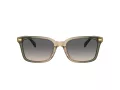 Coach Cr630 Slnečné okuliare HC 8398U 5797G9