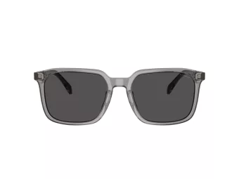 Coach Cw405 Slnečné okuliare HC 8411U 584987