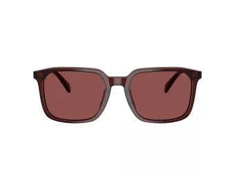 Coach Cw405 Slnečné okuliare HC 8411U 585075