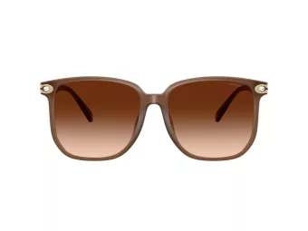 Coach Cw419 Slnečné okuliare HC 8413BD 580874