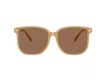 Coach Cw419 Slnečné okuliare HC 8413BD 585473