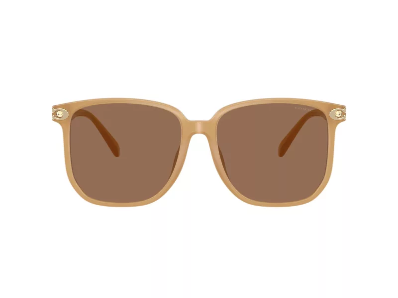 Coach Cw419 Slnečné okuliare HC 8413BD 585473