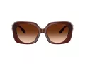 Coach Cad33 Slnečné okuliare HC 8422U 584174