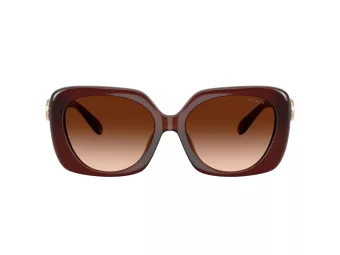 Coach Cad33 Slnečné okuliare HC 8422U 584174