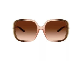 Coach Cad80 Slnečné okuliare HC 8423U 576974