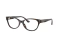 Jimmy Choo Dioptrické okuliare JC 3003BU 5002