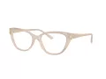 Jimmy Choo Dioptrické okuliare JC 3011 5025