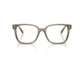 Jimmy Choo Dioptrické okuliare JC 3038D 5051