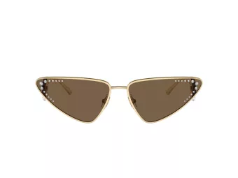 Jimmy Choo Slnečné okuliare JC 4001B 300673