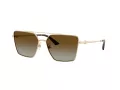 Jimmy Choo Slnečné okuliare JC 4016HB 3006T5