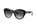Jimmy Choo Slnečné okuliare JC 5007 50008G