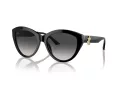 Jimmy Choo Slnečné okuliare JC 5007 50008G